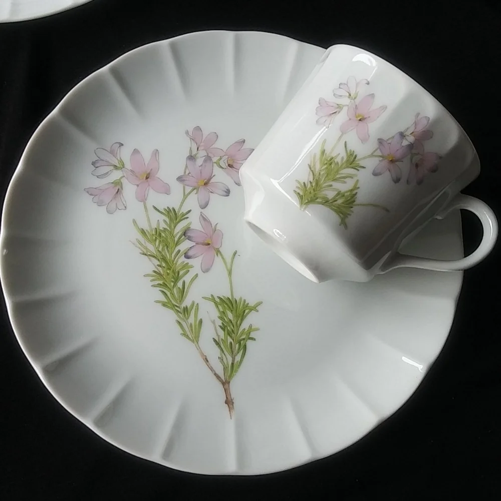 Vintage The Toscany Collection Vintage Japan Cups